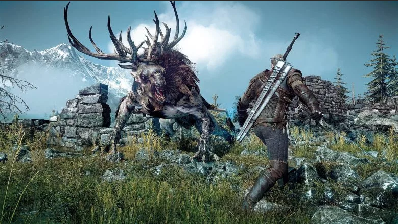the_witcher